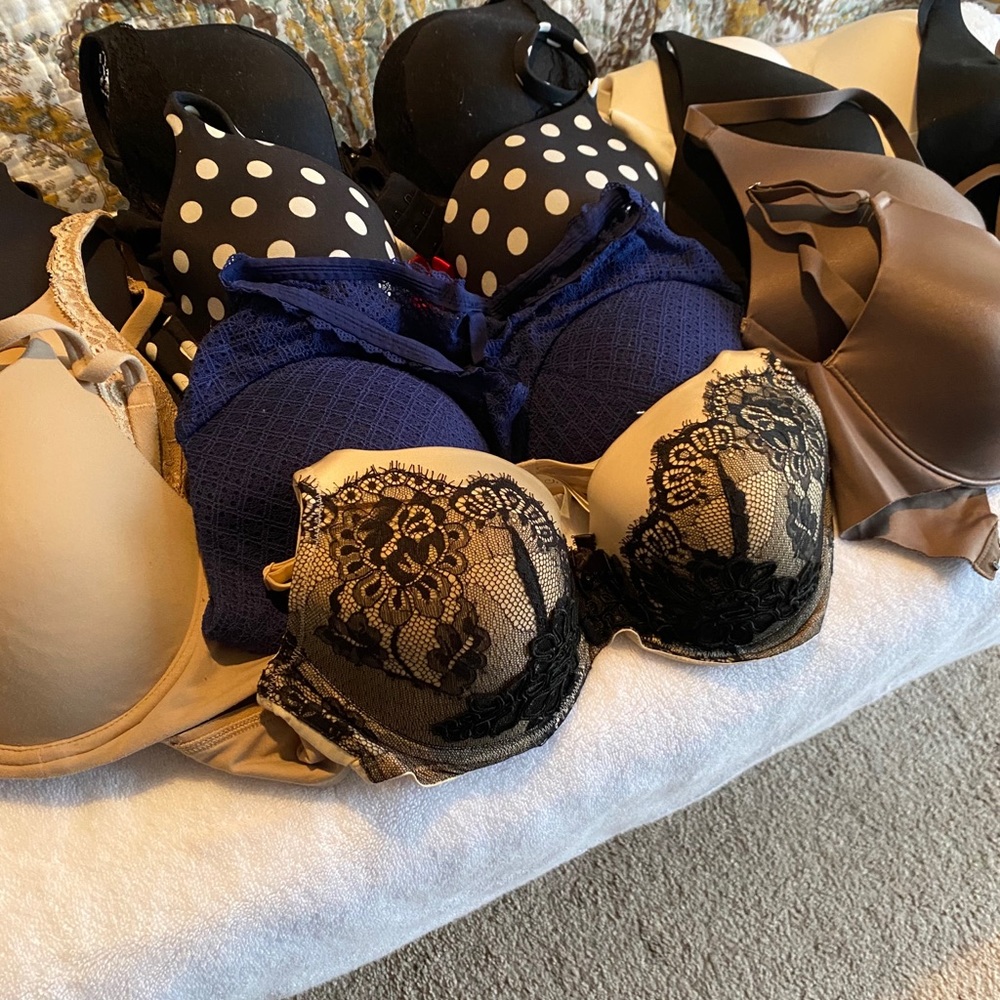 29 Bras, 36C - all in like new condition